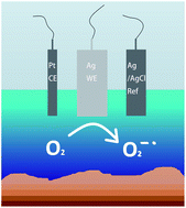 Graphical abstract: The oxygen reduction reaction at silver electrodes in high chloride media and the implications for silver nanoparticle toxicity