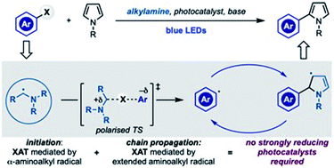 Graphical abstract: A case of chain propagation: α-aminoalkyl radicals as initiators for aryl radical chemistry