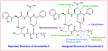 Graphical abstract: Cyclodepsipeptide alveolaride C: total synthesis and structural assignment
