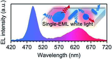 Graphical abstract: Single-emissive-layer all-perovskite white light-emitting diodes employing segregated mixed halide perovskite crystals