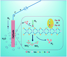 Graphical abstract: Structural insight into [Fe–S2–Mo] motif in electrochemical reduction of N2 over Fe1-supported molecular MoS2