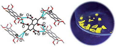 Graphical abstract: Organic room-temperature phosphorescence from halogen-bonded organic frameworks: hidden electronic effects in rigidified chromophores