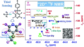 Graphical abstract: Simultaneous detection of small molecule thiols with a simple 19F NMR platform