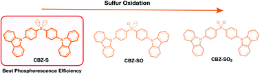 Graphical abstract: Controlling ultralong room temperature phosphorescence in organic compounds with sulfur oxidation state
