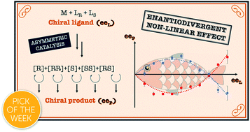 Graphical abstract: Hyperpositive non-linear effects: enantiodivergence and modelling