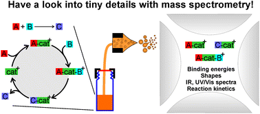 Graphical abstract: Identifying reactive intermediates by mass spectrometry
