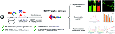 Graphical abstract: Solid-phase fluorescent BODIPY–peptide synthesis via in situ dipyrrin construction