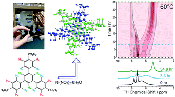 Graphical abstract: Exploiting in situ NMR to monitor the formation of a metal–organic framework