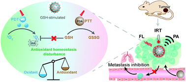 Graphical abstract: Regulation of redox balance using a biocompatible nanoplatform enhances phototherapy efficacy and suppresses tumor metastasis