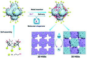 Graphical abstract: Controlled hierarchical self-assembly of networked coordination nanocapsules via the use of molecular chaperones
