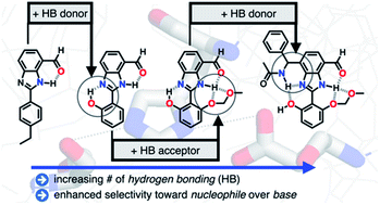 Graphical abstract: Biomimetic hydrogen-bonding cascade for chemical activation: telling a nucleophile from a base
