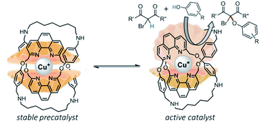 Graphical abstract: Cross dehydrogenative C–O coupling catalysed by a catenane-coordinated copper(i)