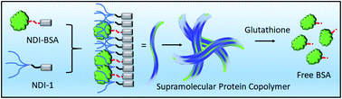 Graphical abstract: Redox responsive activity regulation in exceptionally stable supramolecular assembly and co-assembly of a protein