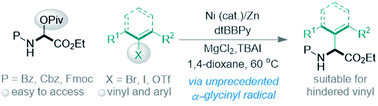 Graphical abstract: Preparation of α-amino acids via Ni-catalyzed reductive vinylation and arylation of α-pivaloyloxy glycine