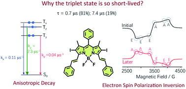 Graphical abstract: Insight into the drastically different triplet lifetimes of BODIPY obtained by optical/magnetic spectroscopy and theoretical computations