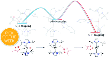 Graphical abstract: Reversible carbon–boron bond formation at platinum centers through σ-BH complexes