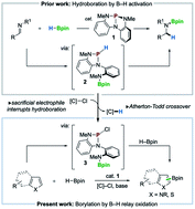 Graphical abstract: Organophosphorus-catalyzed relay oxidation of H-Bpin: electrophilic C–H borylation of heteroarenes
