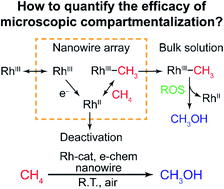 Graphical abstract: Efficacy analysis of compartmentalization for ambient CH4 activation mediated by a RhII metalloradical in a nanowire array electrode