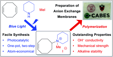Graphical abstract: Expeditious synthesis of aromatic-free piperidinium-functionalized polyethylene as alkaline anion exchange membranes