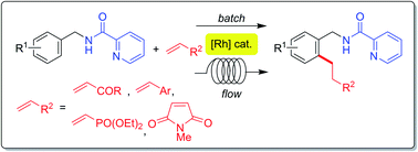 Graphical abstract: Rh(i)- and Rh(ii)-catalyzed C–H alkylation of benzylamines with alkenes and its application in flow chemistry