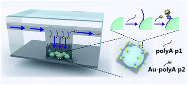 Graphical abstract: Microfluidic synthesis of high-valence programmable atom-like nanoparticles for reliable sensing