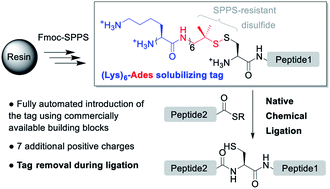 Graphical abstract: A straightforward methodology to overcome solubility challenges for N-terminal cysteinyl peptide segments used in native chemical ligation