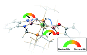 Graphical abstract: Ambiphilic boryl groups in a neutral Ni(ii) complex: a new activation mode of H2