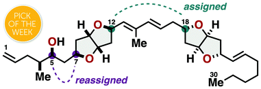 Graphical abstract: Total synthesis and complete configurational assignment of amphirionin-2