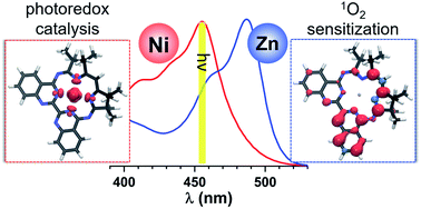 Graphical abstract: The central role of the metal ion for photoactivity: Zn– vs. Ni–Mabiq