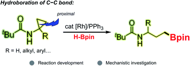 Graphical abstract: Rhodium-catalysed selective C–C bond activation and borylation of cyclopropanes