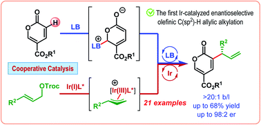 Graphical abstract: Iridium-catalyzed enantioselective olefinic C(sp2)–H allylic alkylation