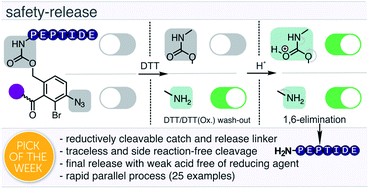 Graphical abstract: Traceless parallel peptide purification by a first-in-class reductively cleavable linker system featuring a safety-release