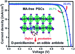 Graphical abstract: Defect mitigation using d-penicillamine for efficient methylammonium-free perovskite solar cells with high operational stability