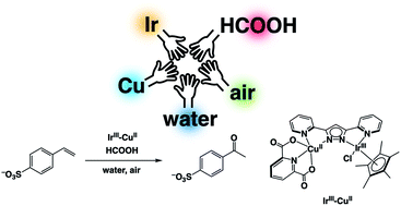 Graphical abstract: Formate-driven catalysis and mechanism of an iridium–copper complex for selective aerobic oxidation of aromatic olefins in water