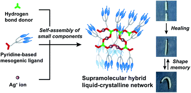 Graphical abstract: Self-healing and shape memory functions exhibited by supramolecular liquid-crystalline networks formed by combination of hydrogen bonding interactions and coordination bonding