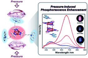 Graphical abstract: Pressure-induced phosphorescence enhancement and piezochromism of a carbazole-based cyclic trinuclear Cu(i) complex