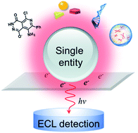 Graphical abstract: Electrogenerated chemiluminescence detection of single entities