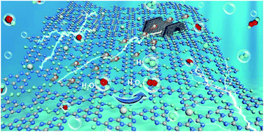 Graphical abstract: Single-atom nickel terminating sp2 and sp3 nitride in polymeric carbon nitride for visible-light photocatalytic overall water splitting