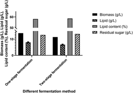 Graphical abstract: Co-fermentation of a sugar mixture for microbial lipid production in a two-stage fermentation mode under non-sterile conditions