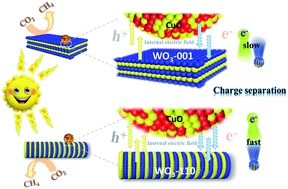 Graphical abstract: A 1D/2D WO3 nanostructure coupled with a nanoparticulate CuO cocatalyst for enhancing solar-driven CO2 photoreduction: the impact of the crystal facet