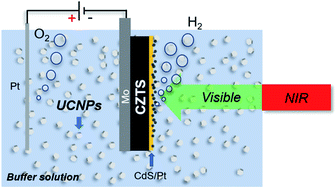 Graphical abstract: Near-infrared-driven water splitting for hydrogen evolution using a Cu2ZnSnS4-based photocathode by the application of upconversion nanoparticles