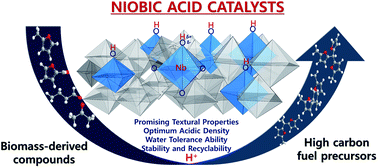 Graphical abstract: Hydroxyalkylation/alkylation of 2-methylfuran and furfural over niobic acid catalysts for the synthesis of high carbon transport fuel precursors
