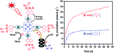 Graphical abstract: A thiophene bridged naphthalimide–porphyrin complex with enhanced activity and stability in photocatalytic H2 evolution
