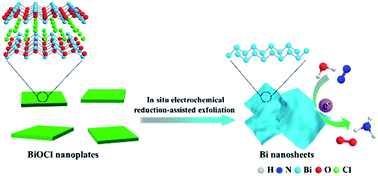 Graphical abstract: In situ electrochemical reduction-assisted exfoliation: conversion of BiOCl nanoplates into Bi nanosheets enables efficient electrocatalytic nitrogen fixation