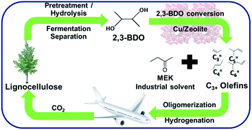 Graphical abstract: A hybrid pathway to biojet fuel via 2,3-butanediol