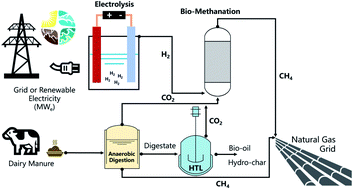 Graphical abstract: Integrating anaerobic digestion, hydrothermal liquefaction, and biomethanation within a power-to-gas framework for dairy waste management and grid decarbonization: a techno-economic assessment