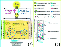 Graphical abstract: Modeling the response characteristics of photo-sensitive hydrogel electrolytes in Hofmeister salt solution for the development of smart energy storage devices