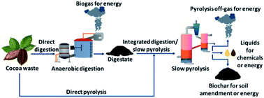Graphical abstract: Integrating anaerobic digestion and slow pyrolysis improves the product portfolio of a cocoa waste biorefinery