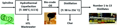 Graphical abstract: Renewable diesel blendstocks and bioprivileged chemicals distilled from algal biocrude oil converted via hydrothermal liquefaction