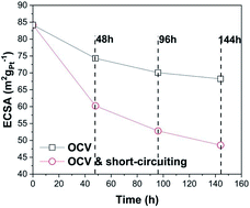 Graphical abstract: Effect of extended short-circuiting in proton exchange membrane fuel cells